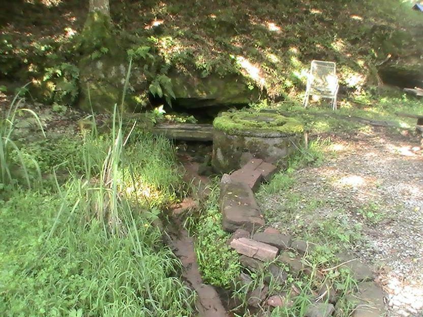 Gite De La Baerenbach Haselbourg المظهر الخارجي الصورة