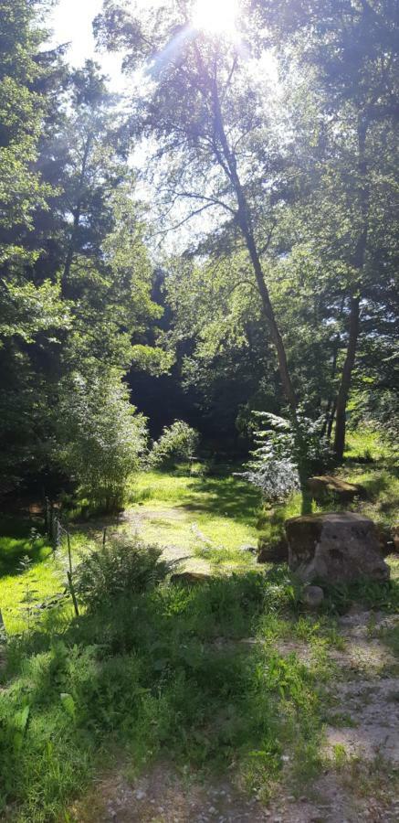 Gite De La Baerenbach Haselbourg المظهر الخارجي الصورة